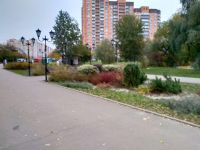 Парк г. Долгопрудного на ул. Молодежной