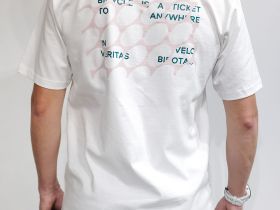 Футболка фирменная Birota (белый S Классический крой)