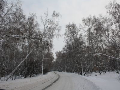 Участок Сибирского тракта