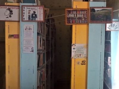 Озерская сельская библиотека