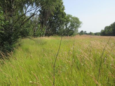 Памятное место, где в 1942 г. был расположен партизанский госпиталь