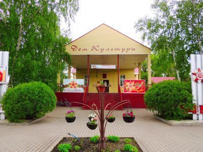 Дом культуры р. п. Чаадаевка