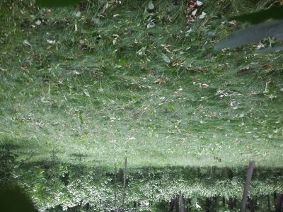 Фонтан Нишельный круглый в садовом лабиринте