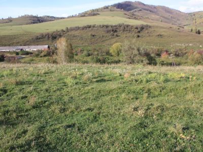 Братская могила партизан