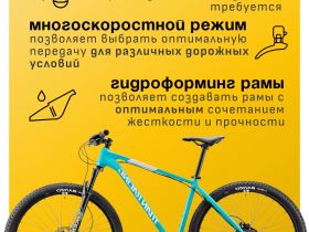 Горный велосипед Titan Racing Rogue Cruz M, год 2024, цвет Синий, ростовка 15