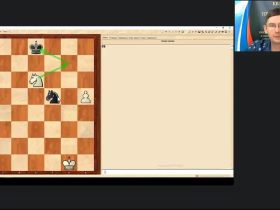 Международный вебинар «Коневой и слоновый эндшпиль»