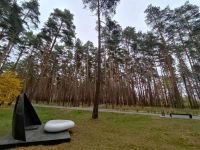 Лесопосадка г. Выксы