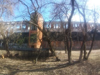 Поликлиника