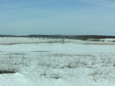 Мельница ветряная (деревянная)