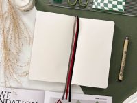 Розовый планер в точку Remarklee Aesthetic В6+