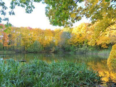 Усадьба "Ясенево"