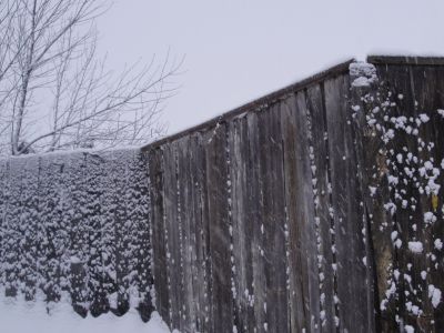 Деревянный жилой дом конца XIX века с глухой и пропильной резьбой карнизов, наличников и воротами с оригинальным декором «солнышко»