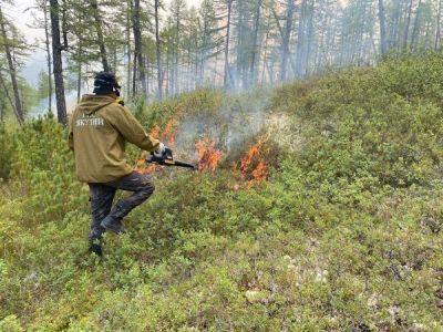 6 августа: тушат два лесных пожара
