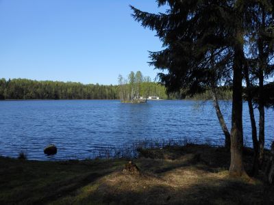 Парк с озерами: Большое (Осинорощинское), Глухое, Малое и Среднее (Дворцовое)