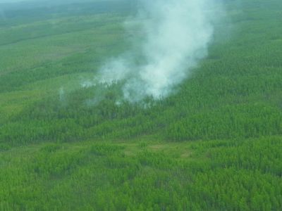 Два лесных пожара действуют в 10-20 км от населенных пунктов в Якутии