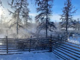 В тундровой зоне Якутии завершили весеннюю корализацию оленей
