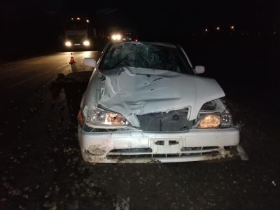 Погиб пешеход. Пьяный водитель сбил мужчину на переходе