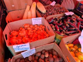 Молочная продукция, мясо и овощи: обзор цен на ярмарке «Продовольствие-2025» в Якутске