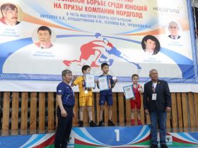 На республиканском турнире в Олекминском улусе определены лучшие борцы