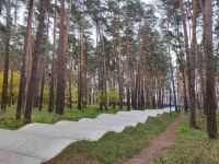 Лесопосадка г. Выксы