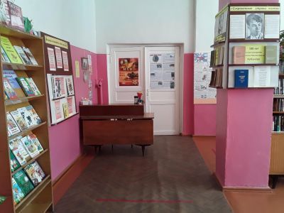 Девицкая сельская библиотека