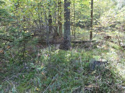 Памятное место, где был организован районный партизанский отряд под руководством А.И.Озернова и В.А.Свиридкина