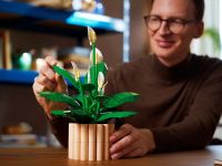 Botanicals 11504 Конструктор Спатифиллум