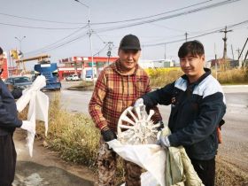 Общегородской субботник по уборке территорий провели в Якутске