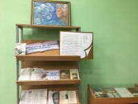 Михайловская центральная библиотека им. Н. М. Перовского