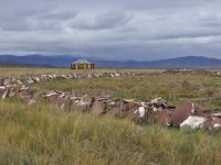 Историко-культурный музей-заповедник «Долина царей»