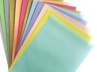 Калька для чертёжных и дизайнерских работ в папке Лилия Холдинг А4 40 л