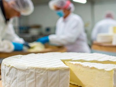 Производители сыра бри устраняют нарушения и улучшают продукцию