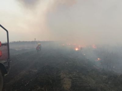 На севере Забайкальского края из-за лесного пожара эвакуируют жителей