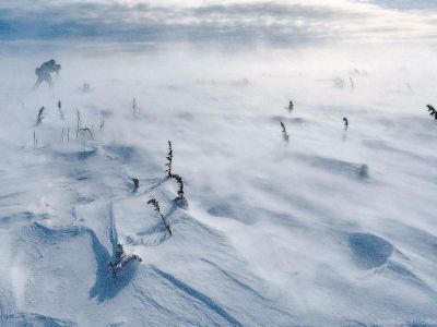 В пятницу обещают сильный ветер и снег