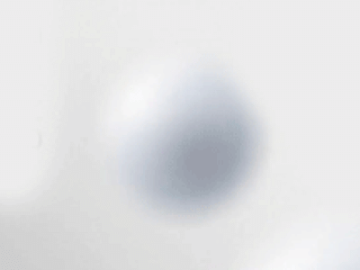 5 комиков. Premium stand up