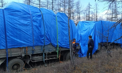В Момском районе нашли пропавшего неделю назад водителя / ЯСИА   