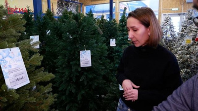 Давайте разберемся: как выбрать искусственную елочку в Якутске / Николай Борисов Якутск Якутск Республика Саха (Якутия)