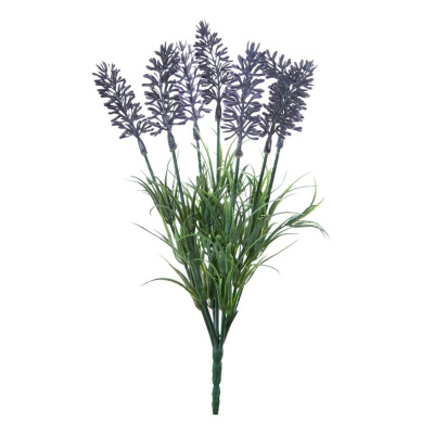 Цветок Zumpano