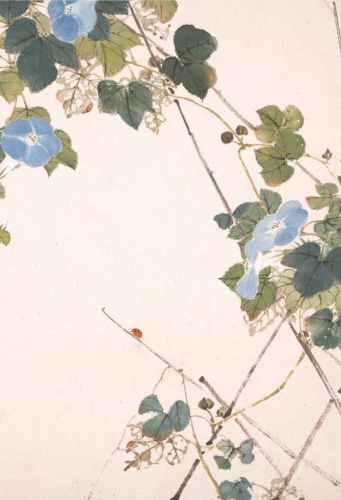 Блокнот Насекомые и цветы "Вьюнок"