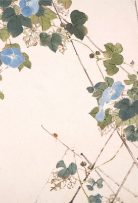 Блокнот Насекомые и цветы "Вьюнок"