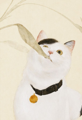 Блокнот Котик по кличке Миндаль 3