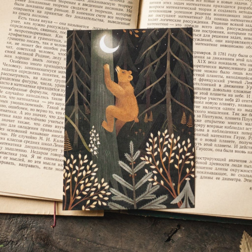 Открытка Дворникова А. "Лунный медведь"