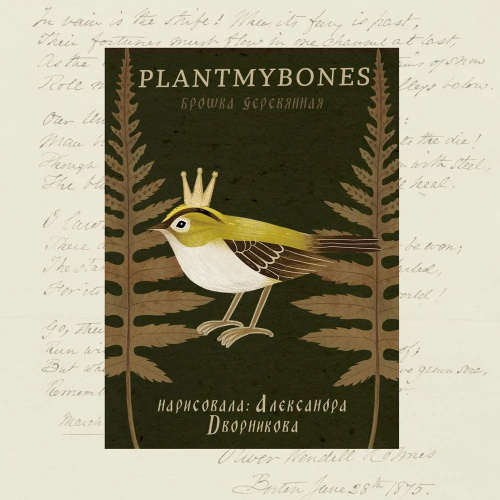 Деревянная брошка Дворникова А. "Королёк"