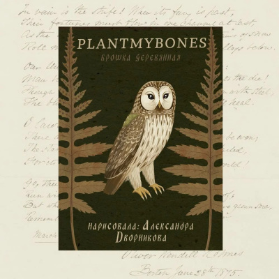 Деревянная брошка Дворникова А. "Сова"