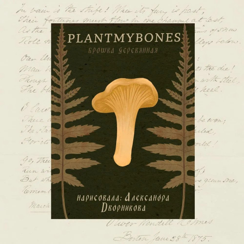 Деревянная брошка Дворникова А. "Лисичка"