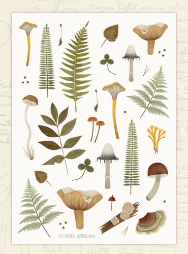 Стикеры Дворникова А. "Папоротники и грибы"