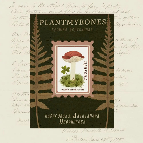 Деревянная брошка Дворникова А. "Почтовая марка"