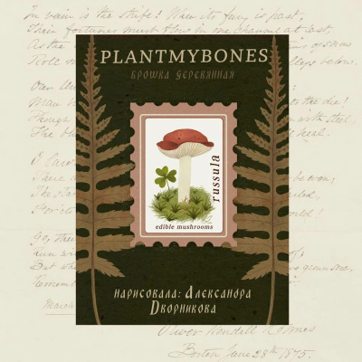 Деревянная брошка Дворникова А. "Почтовая марка"