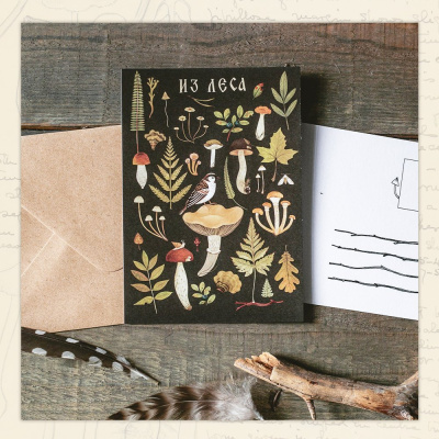 Открытка Дворникова А. "Воробушек"