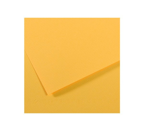 Бумага для пастели Canson "MI-TEINTES" 75x110 см 160 г №400 канареечный
